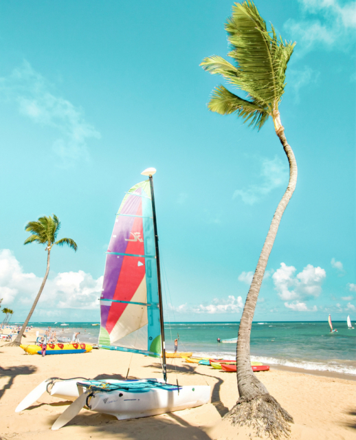 DomRep